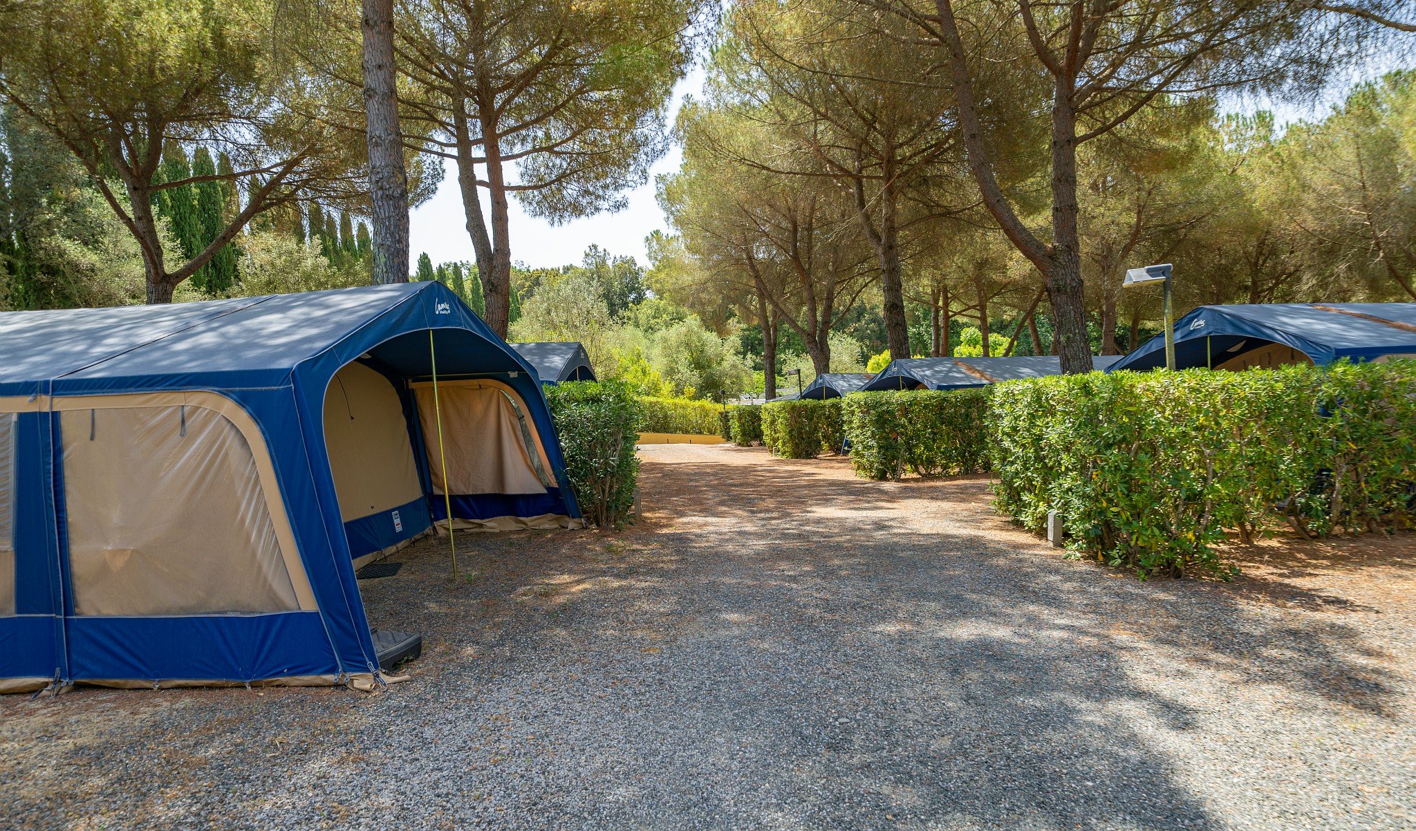 Italie - Toscane - Cecina - Camping Valle Gaia 4*